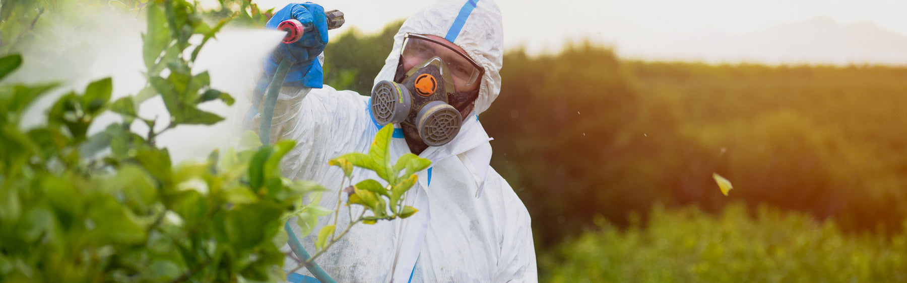 SAFE CHEMICAL HANDLING IMPROVES BOTTOM LINE IN CONTROLLING PHYTOPHTHORA ROOT ROT