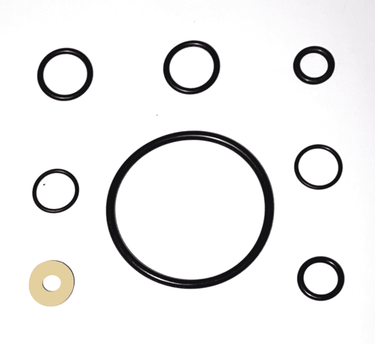 O-Ring Gasket Repair Kit, Santo (parts 5+8+25+27+31)